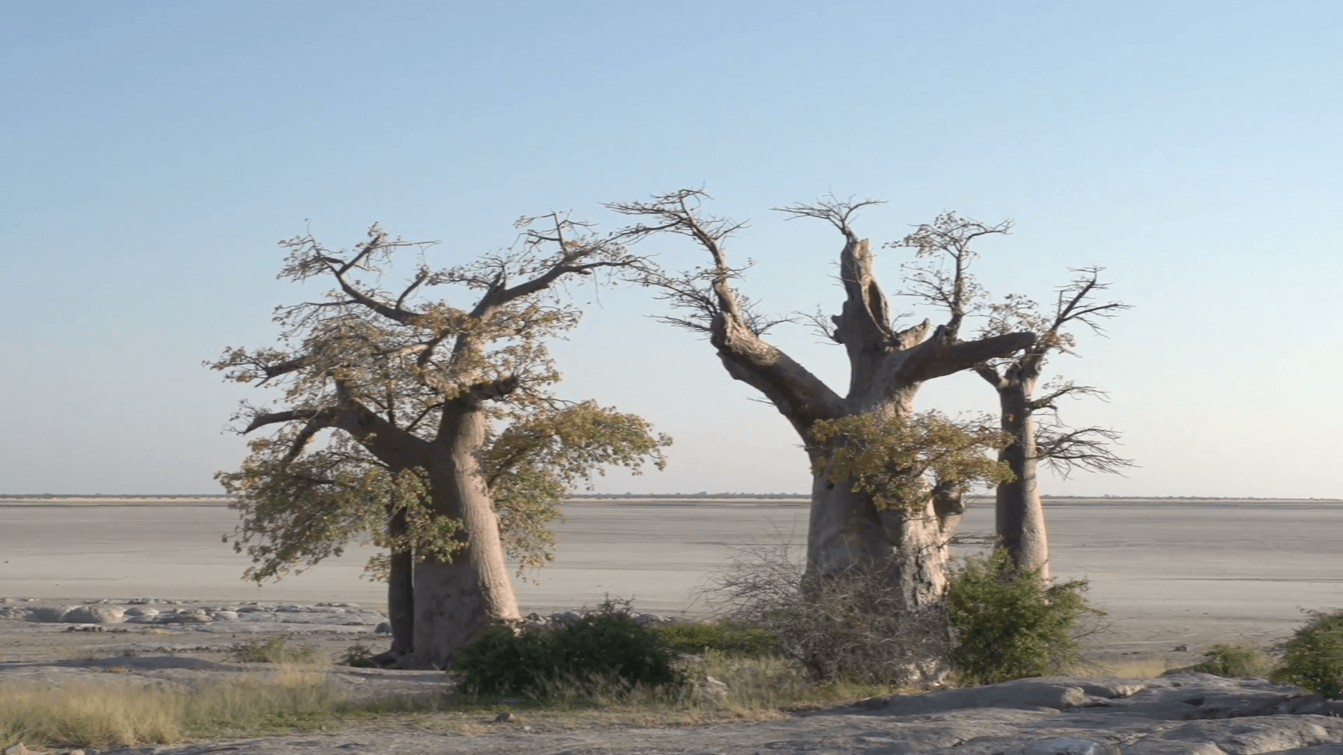 Makgadikgadi Pan Wallpapers