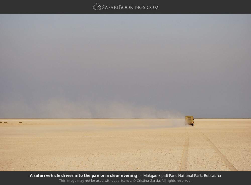 Makgadikgadi Pan Wallpapers