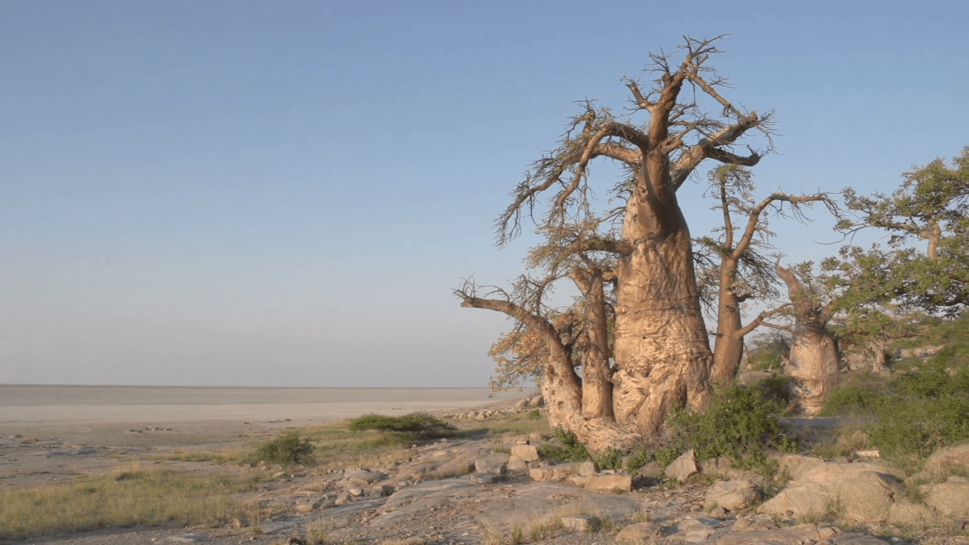 Makgadikgadi Pan Wallpapers