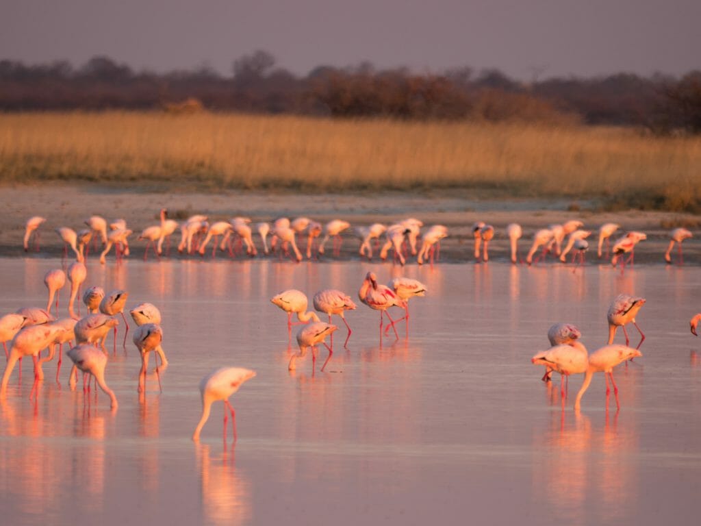 Makgadikgadi Pan Wallpapers