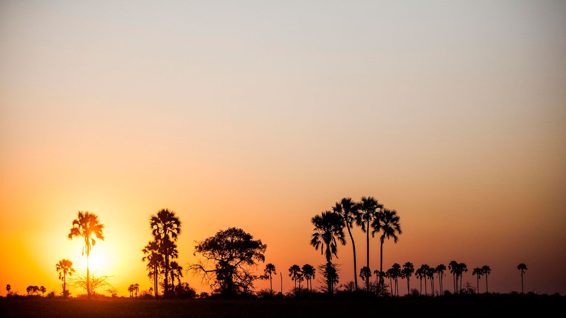 Makgadikgadi Pan Wallpapers