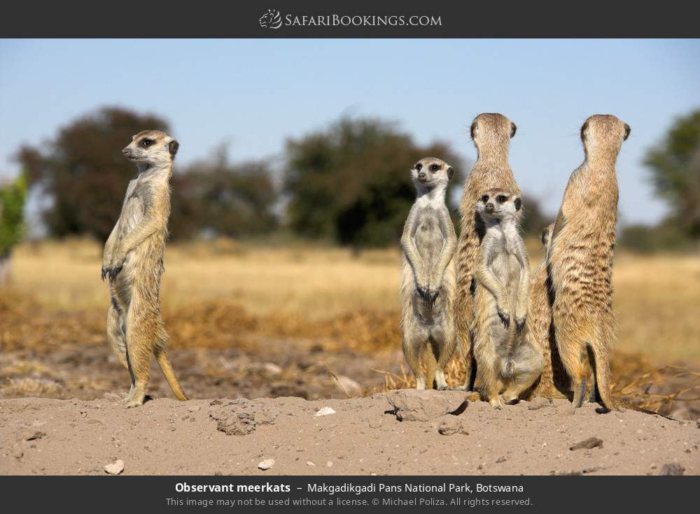 Makgadikgadi Pan Wallpapers