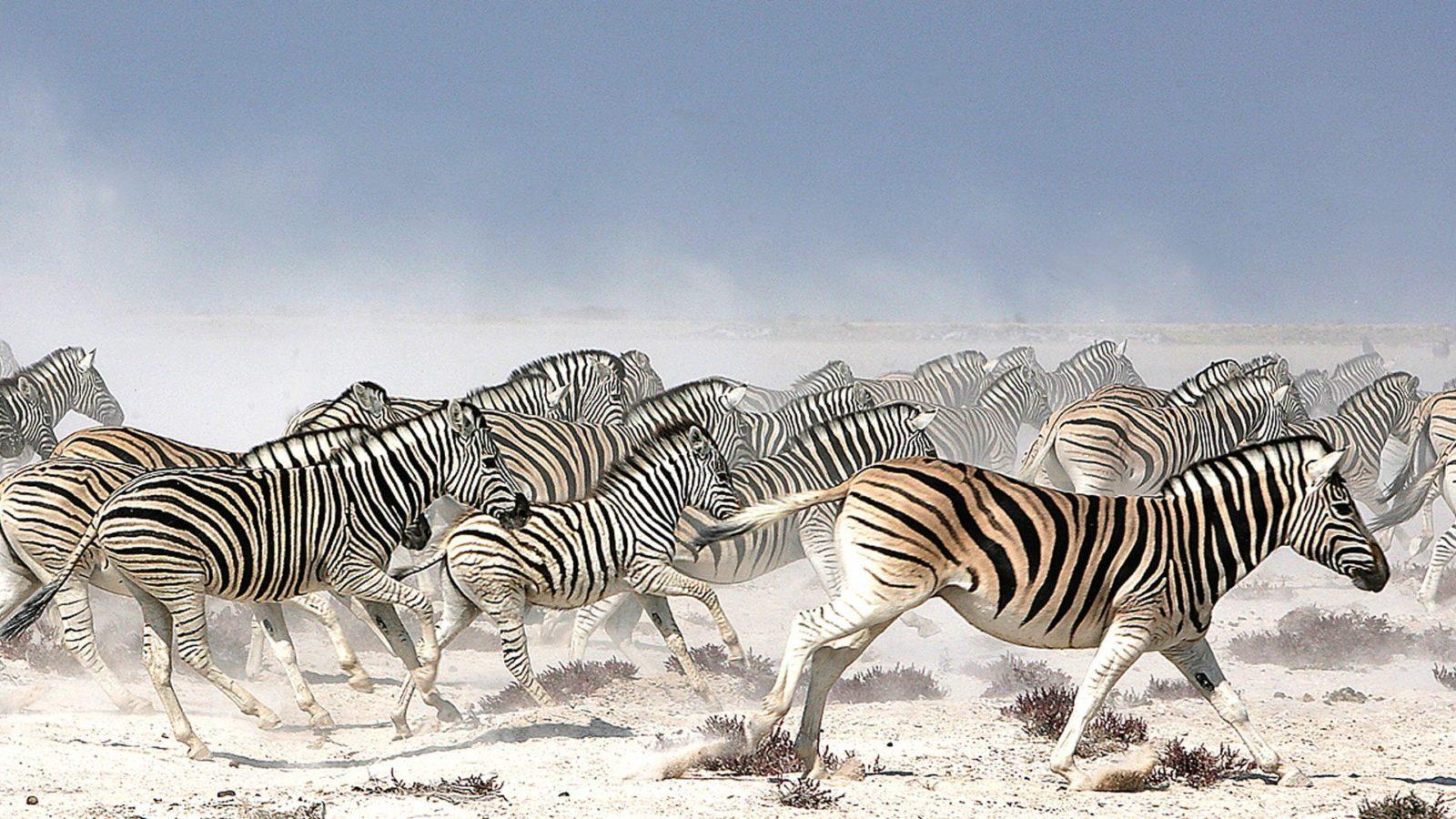 Makgadikgadi Pan Wallpapers