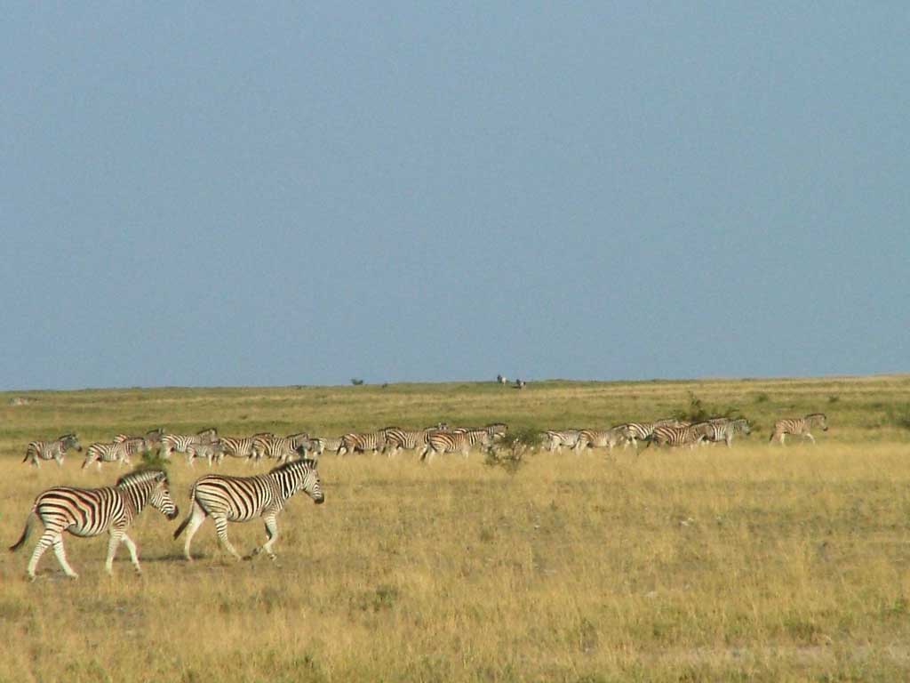 Makgadikgadi Pan Wallpapers