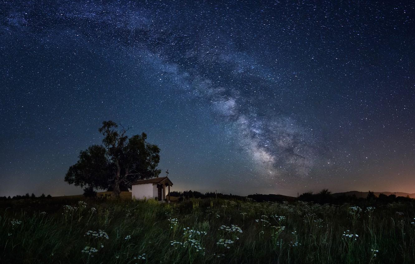 Milky Way Tree Field Wallpapers