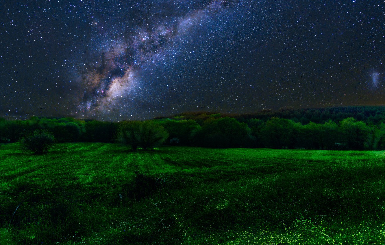 Milky Way Tree Field Wallpapers