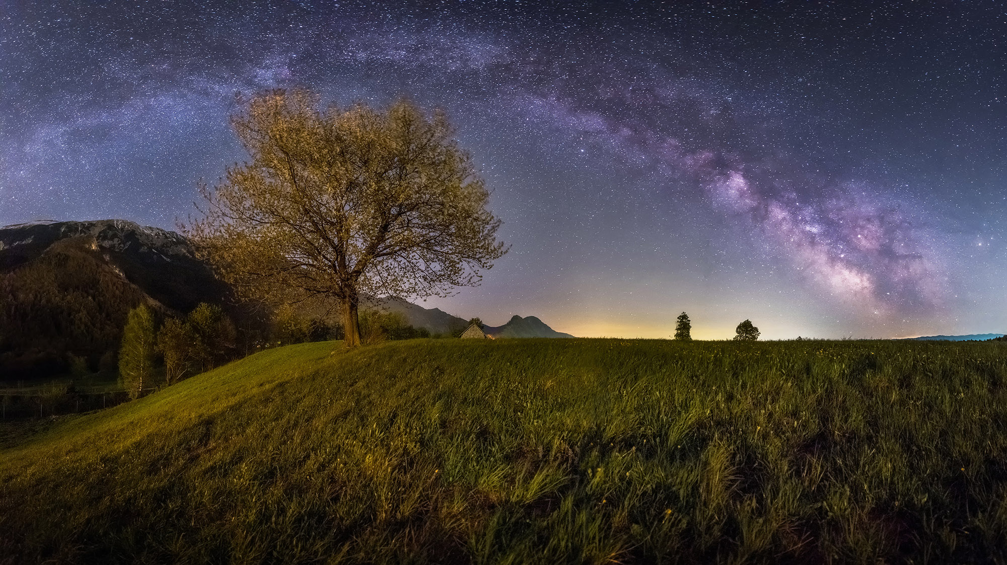 Milky Way Tree Field Wallpapers