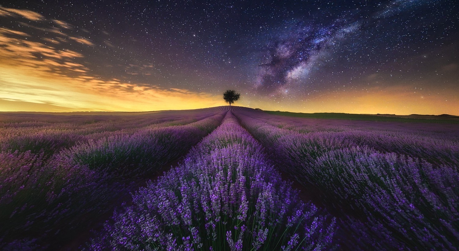 Milky Way Tree Field Wallpapers