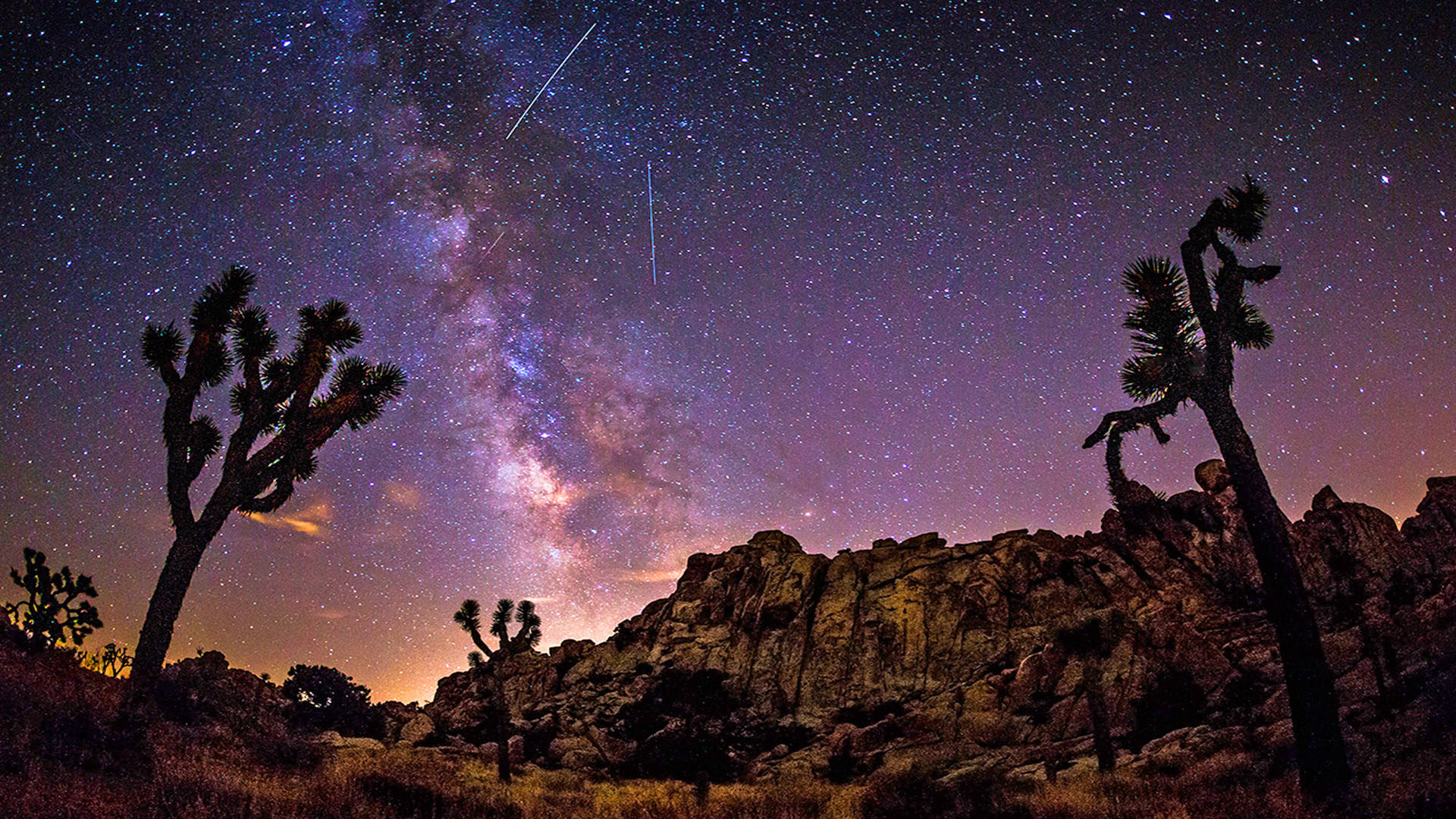 Milky Way Tree Field Wallpapers