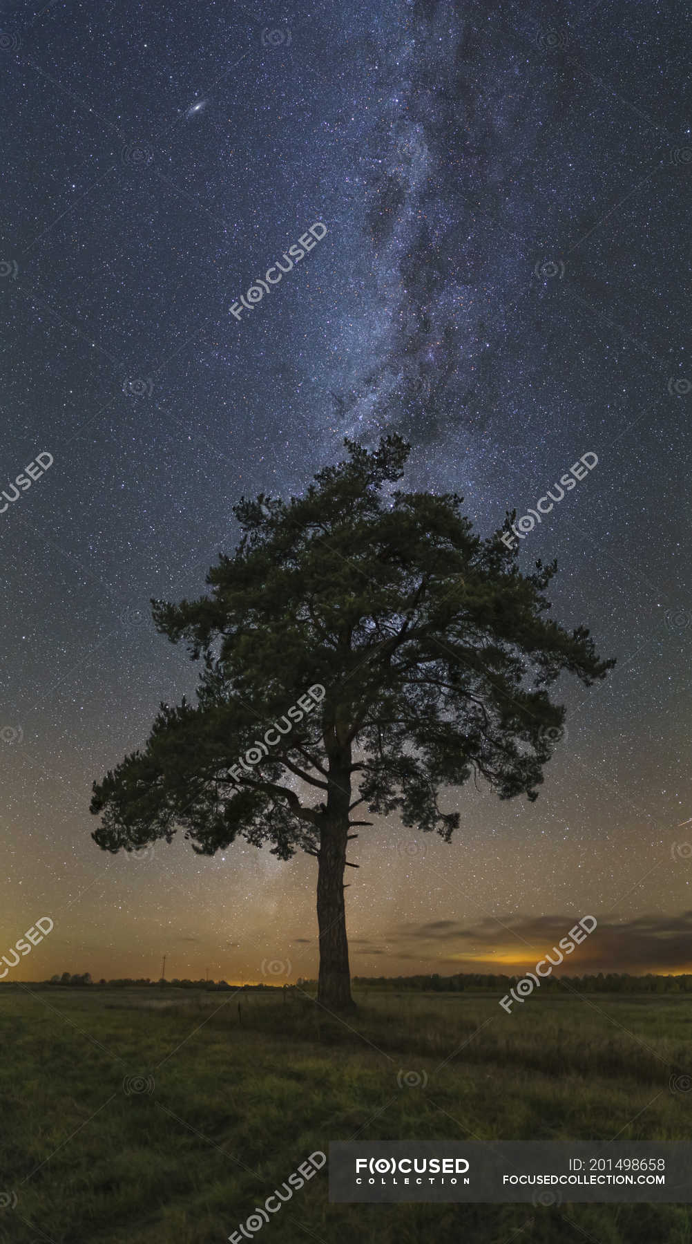 Milky Way Tree Field Wallpapers