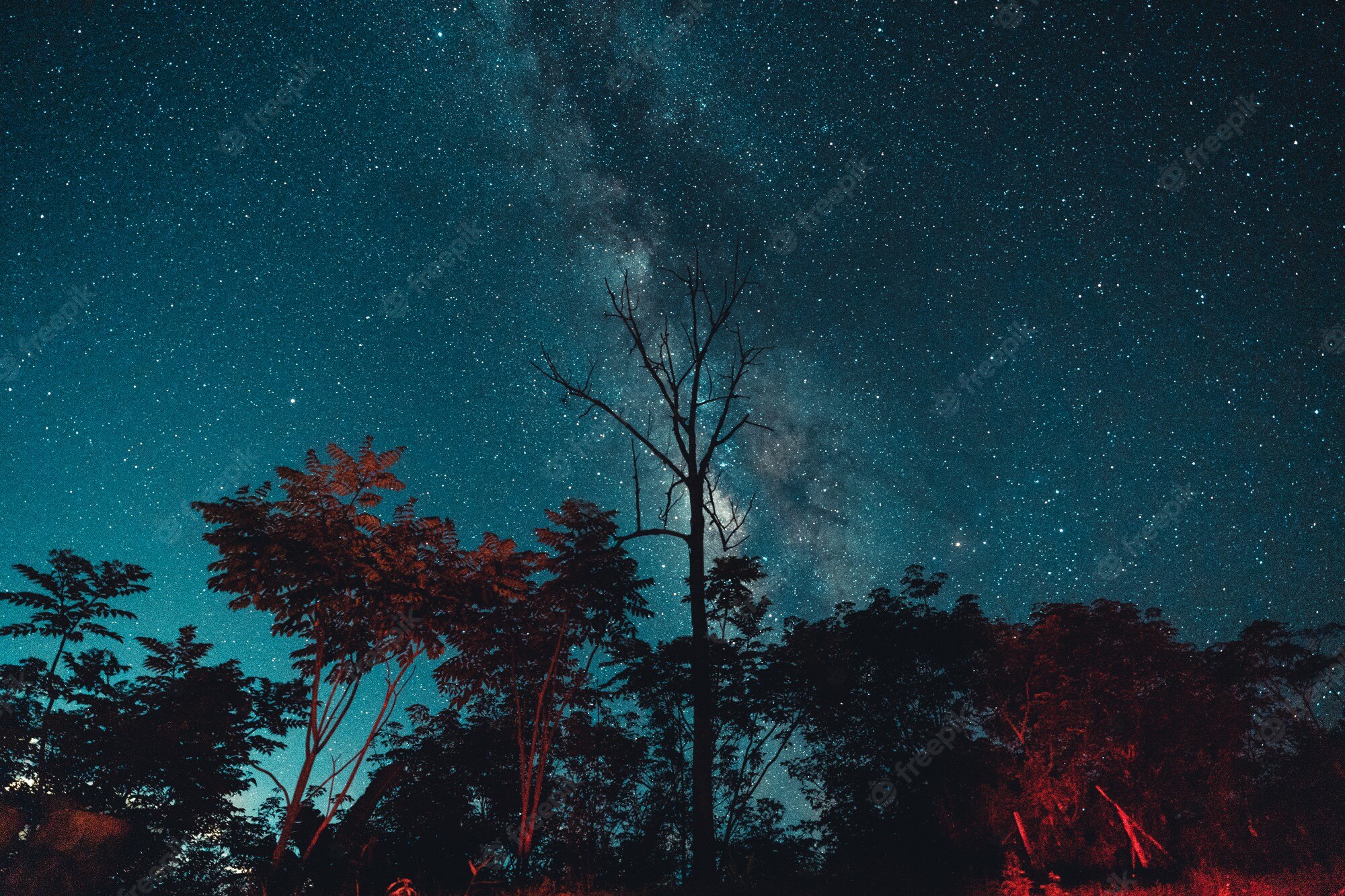 Milky Way Tree Field Wallpapers