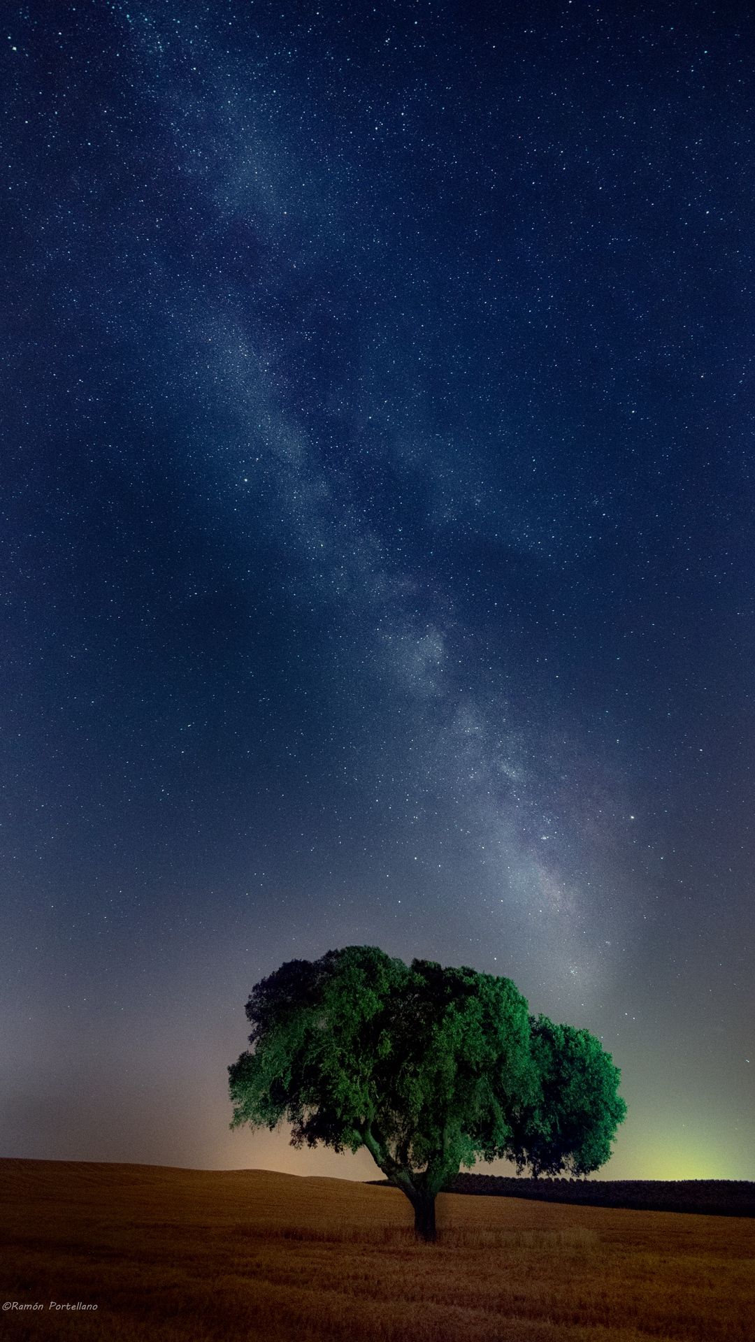 Milky Way Tree Field Wallpapers