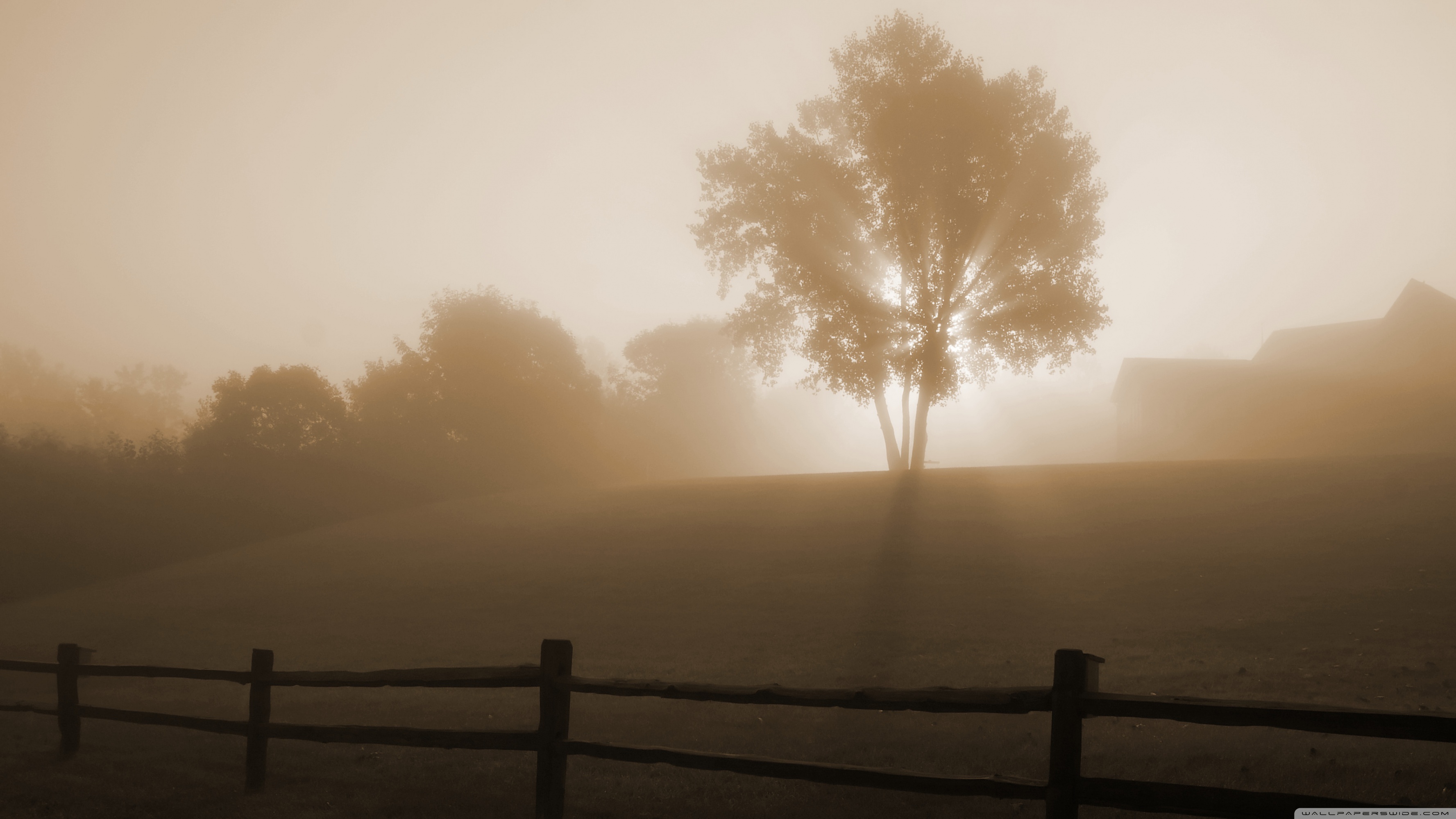 Misty Morning Sunrise 5K Wallpapers