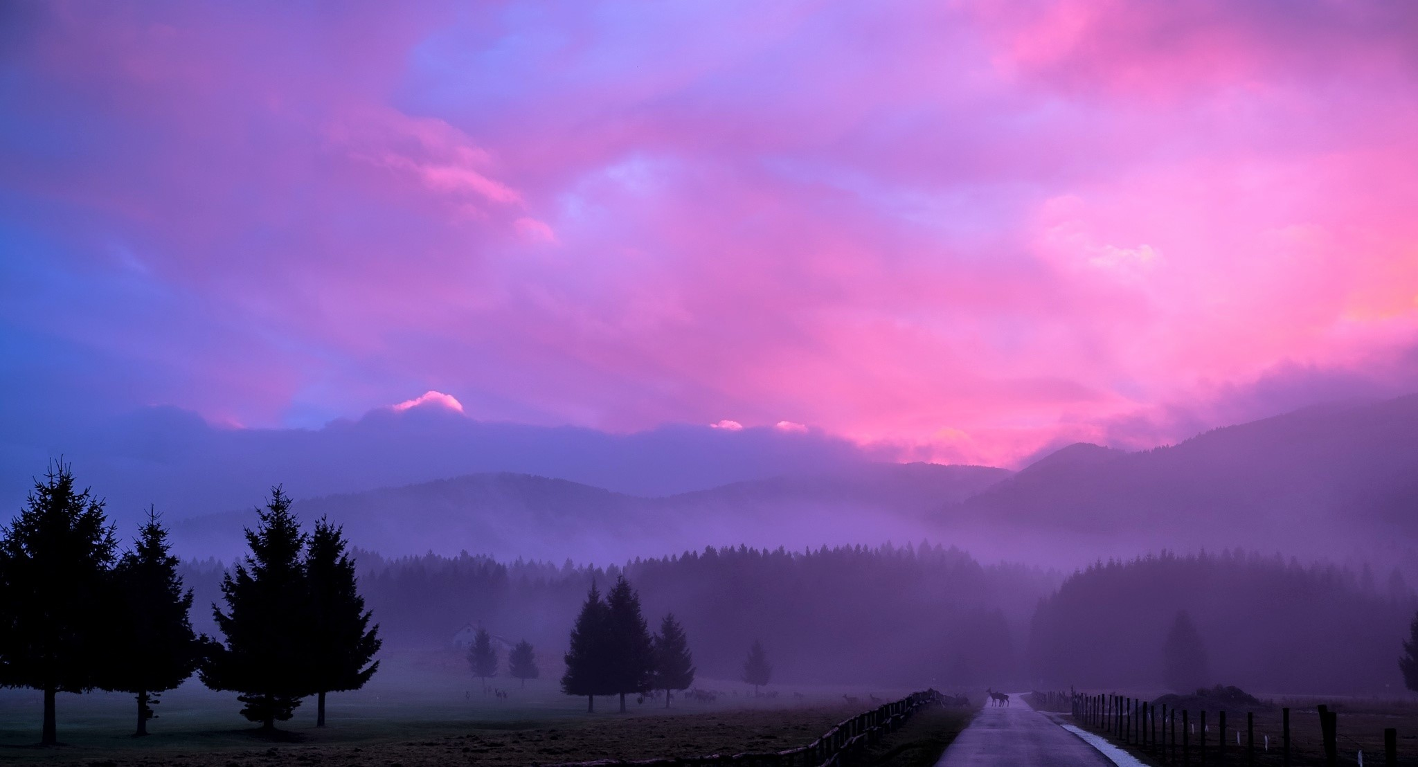 Misty Pink Sunset Wallpapers