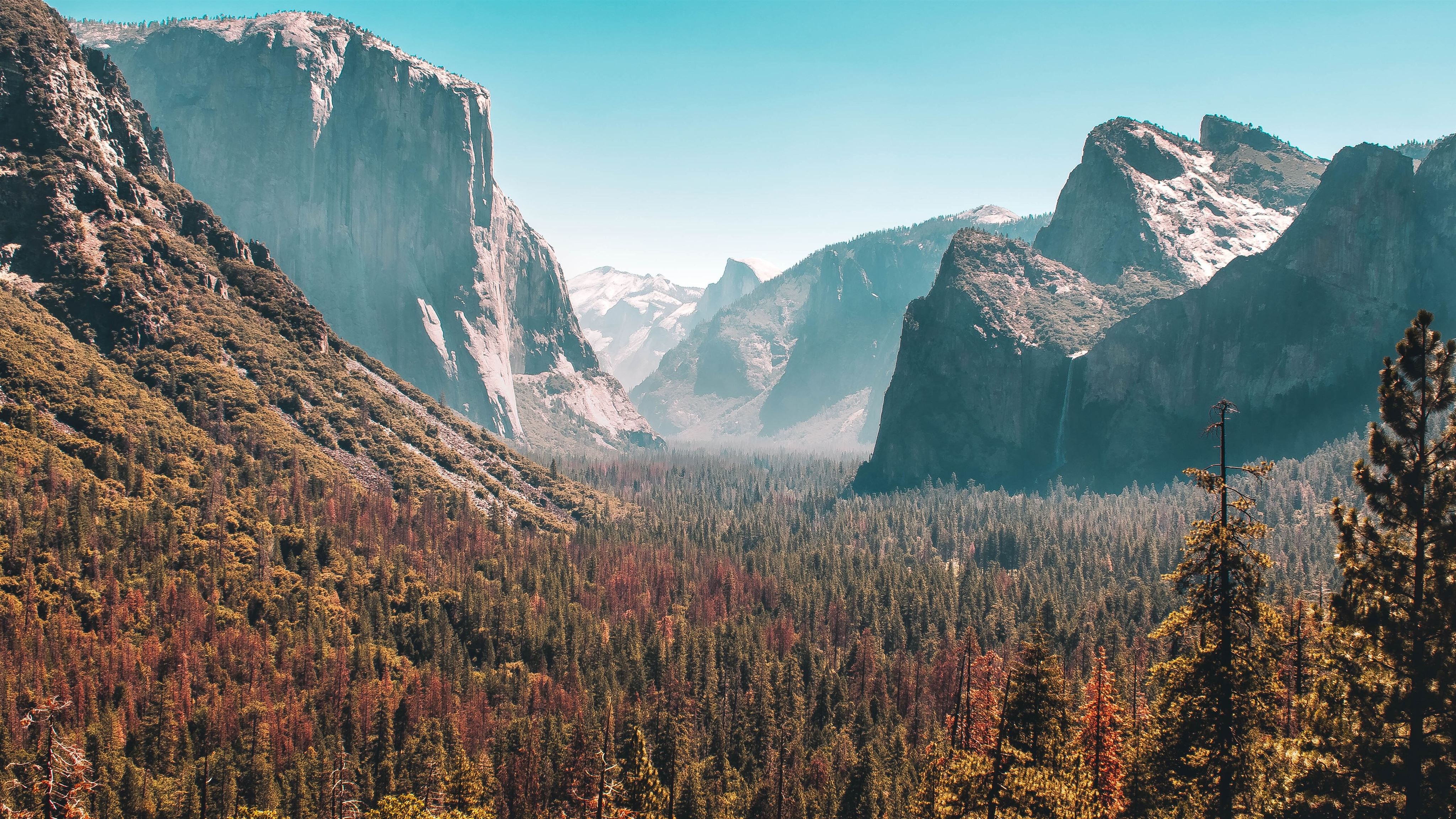 Misty Yosemite Wallpapers