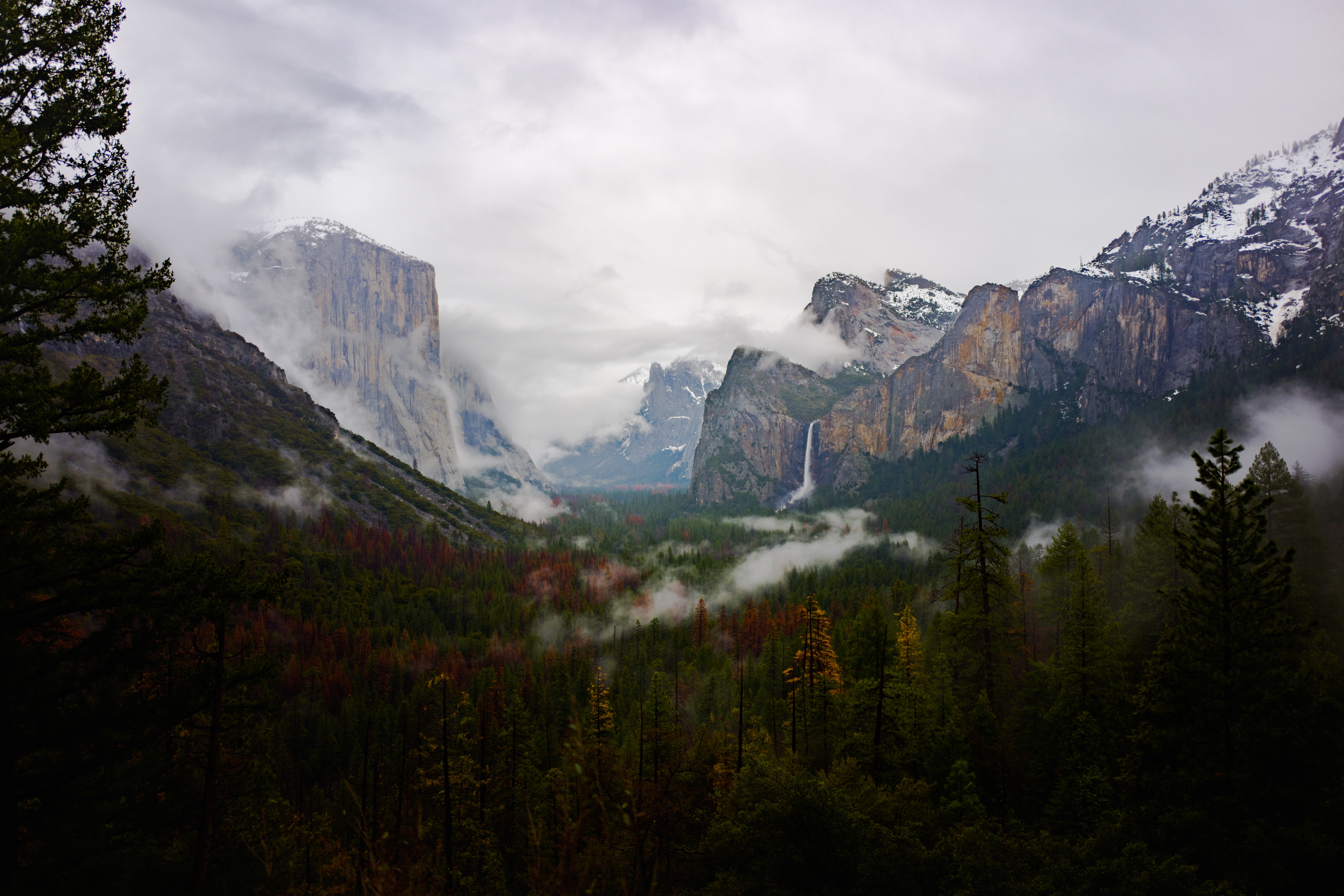 Misty Yosemite Wallpapers