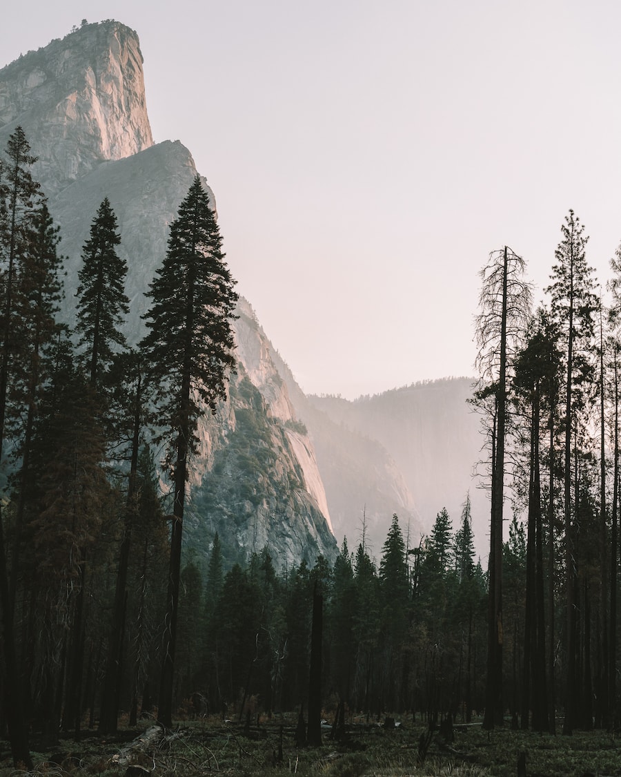 Misty Yosemite Wallpapers