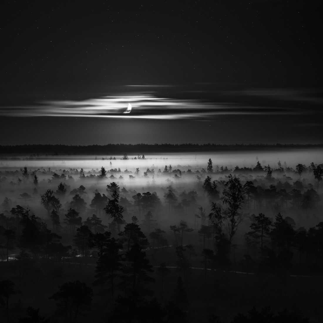 Monochrome Night Nature Photography Wallpapers