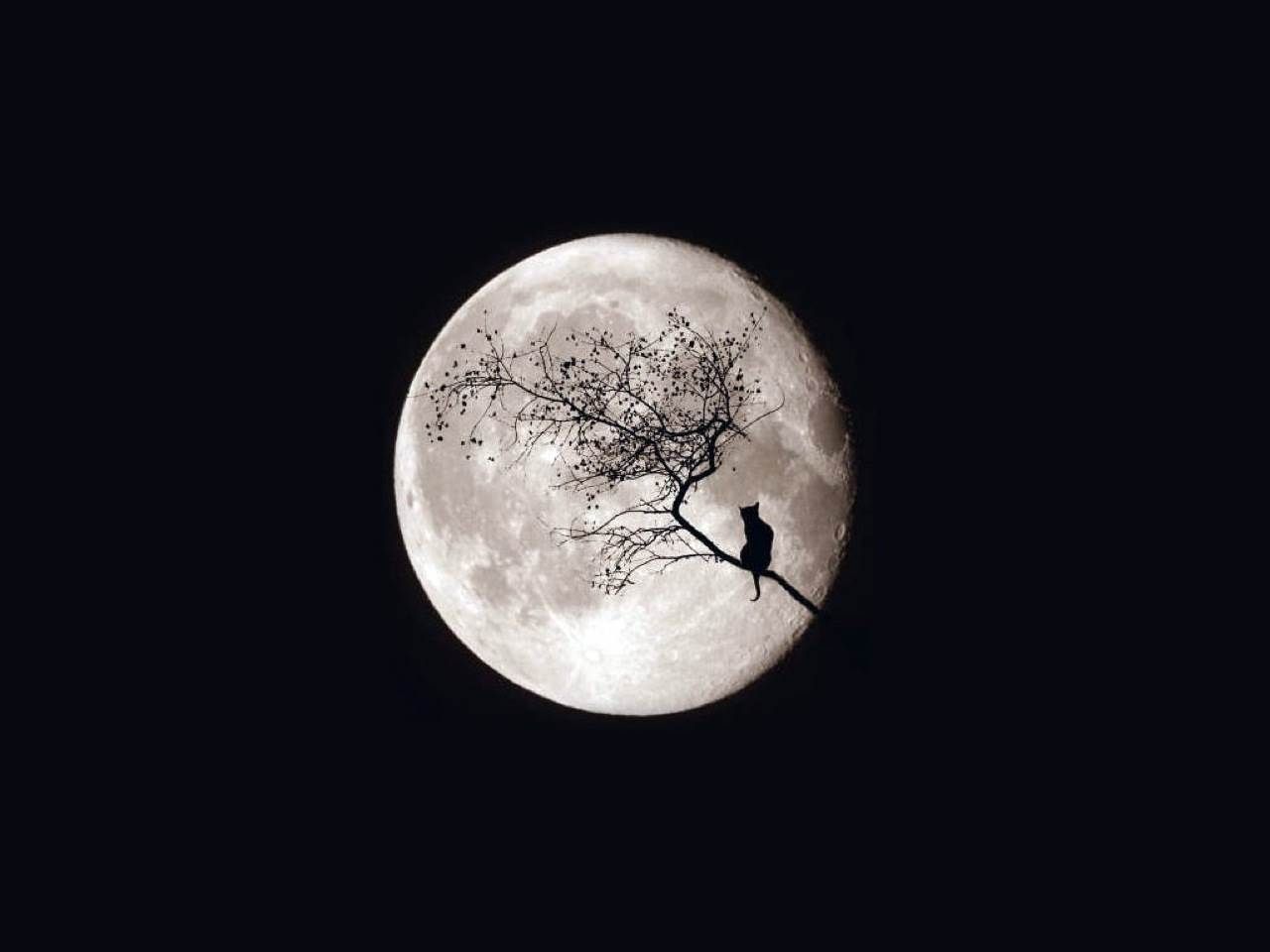 Moon Hd Wallpapers