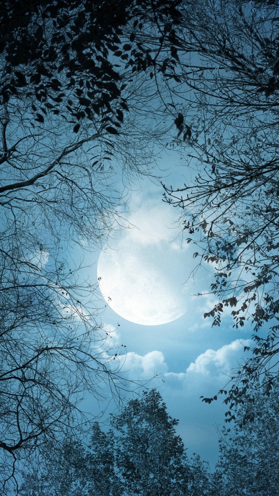 Moon Night Wallpapers