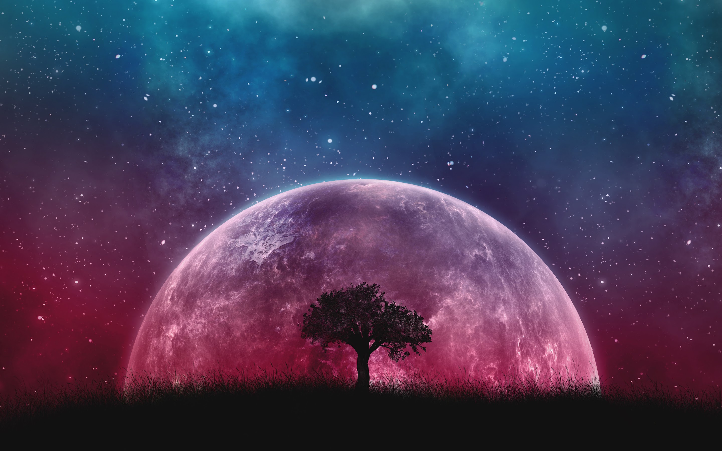 Moon Night Wallpapers