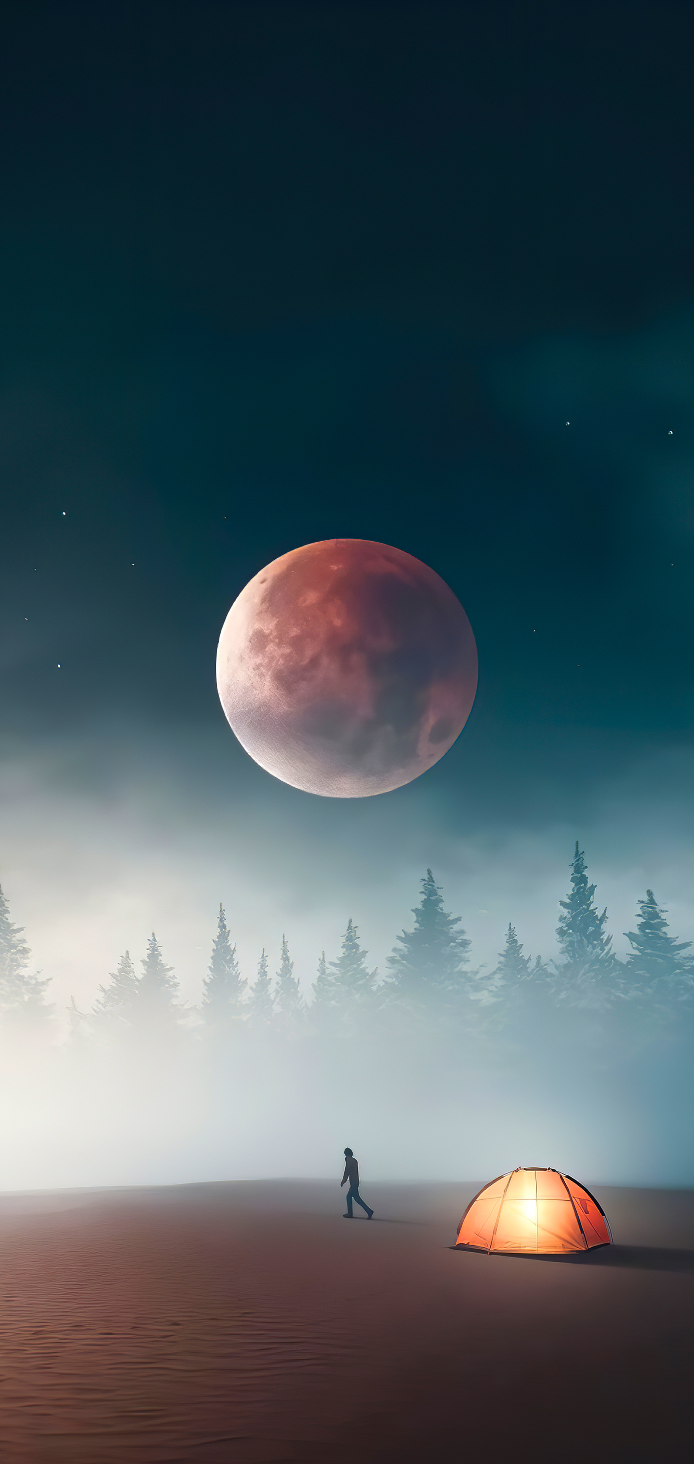 Moon Night Wallpapers