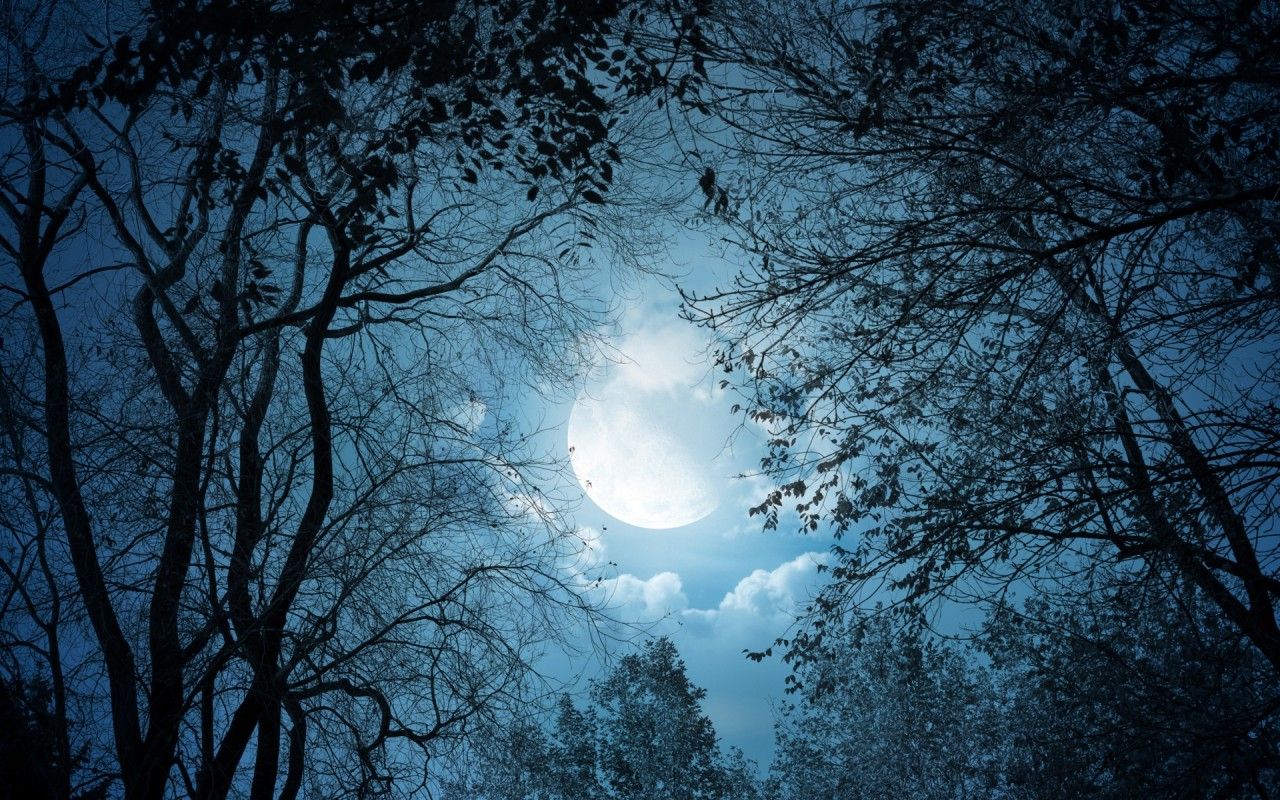 Moon Night Hd Landscape Wallpapers