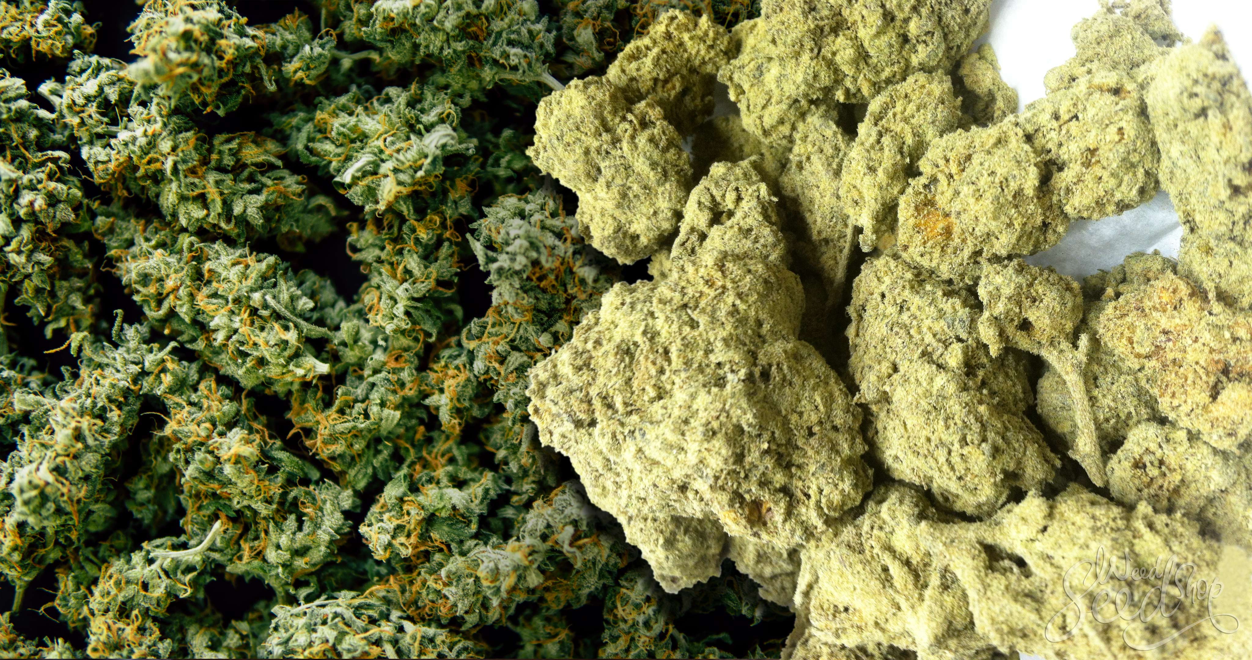 Moon Rock Weed Wallpapers