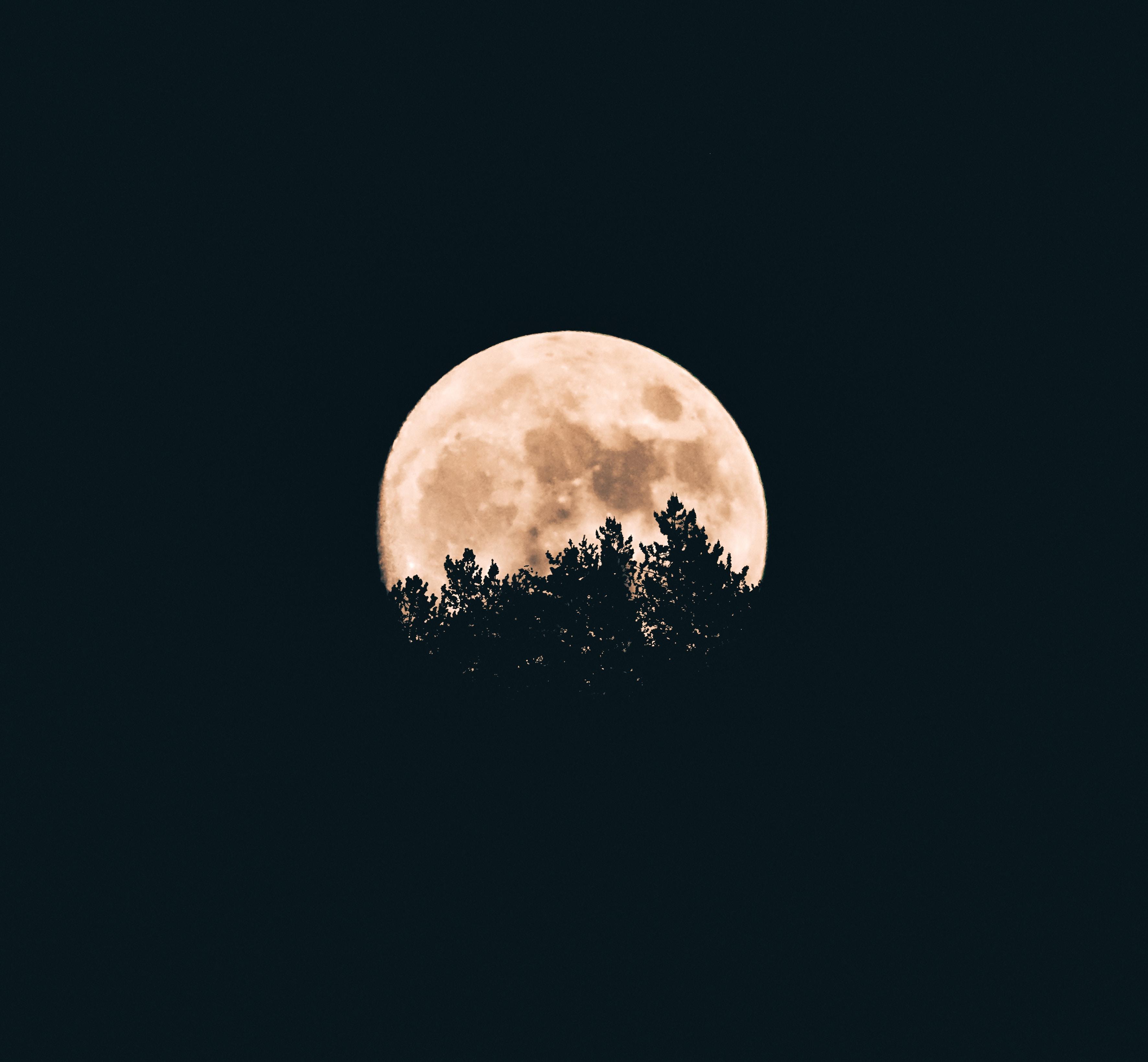 Moon Tumblr Wallpapers