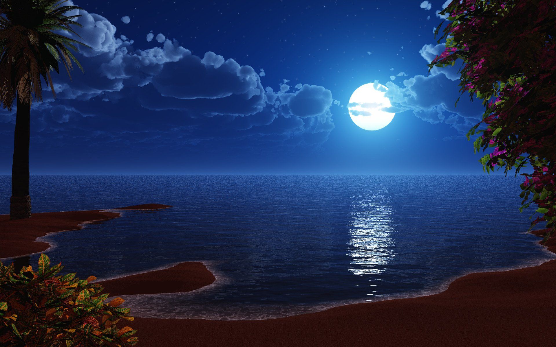 Moonlight Beach Wallpapers