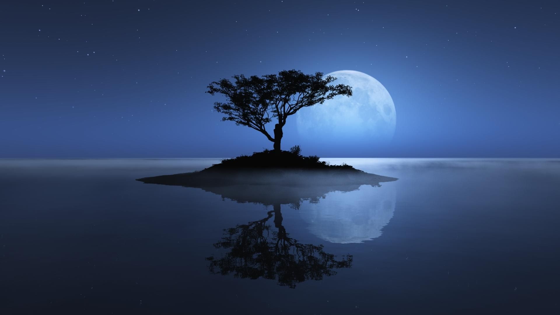 Moonlight Landscape Wallpapers