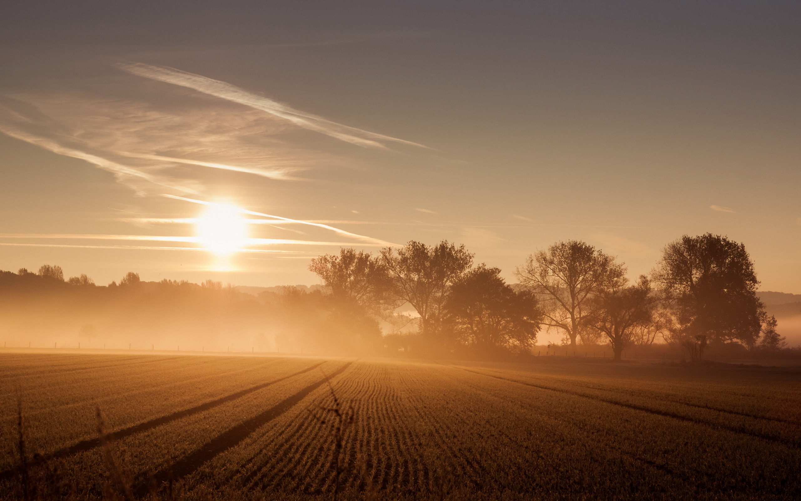 Morning Field Wallpapers