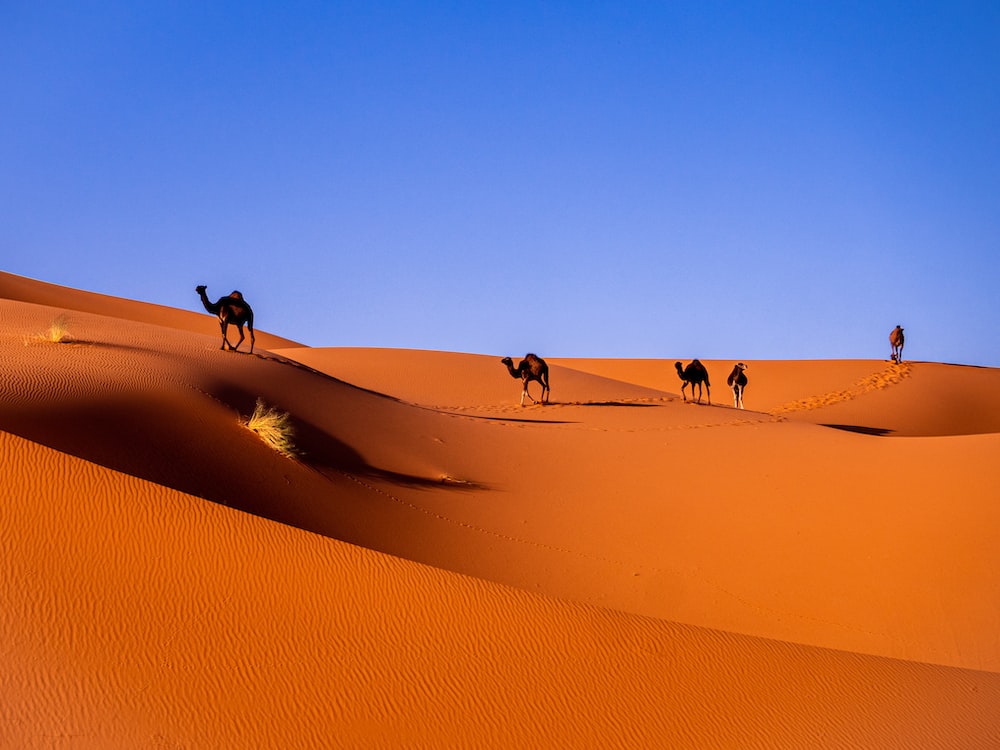 Morocco Desert Wallpapers