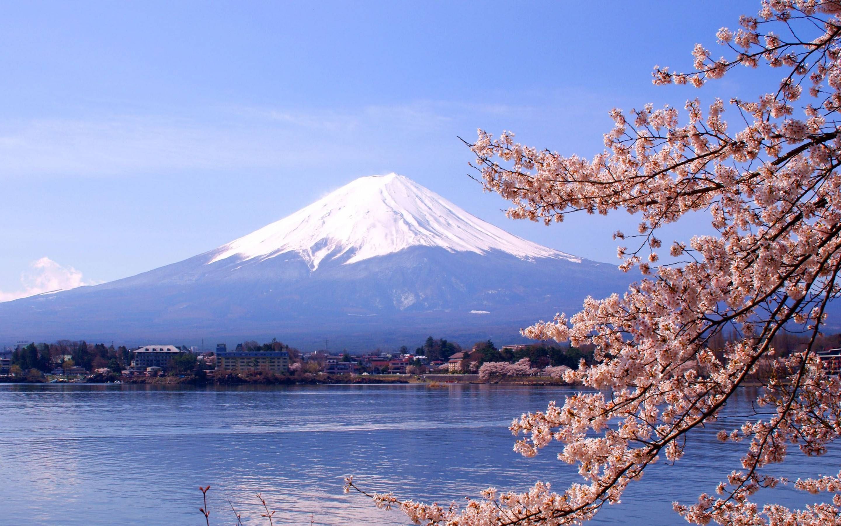 Mount Fuji Wallpapers