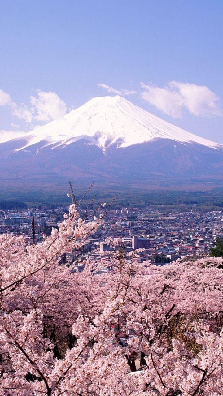 Mount Fuji Wallpapers