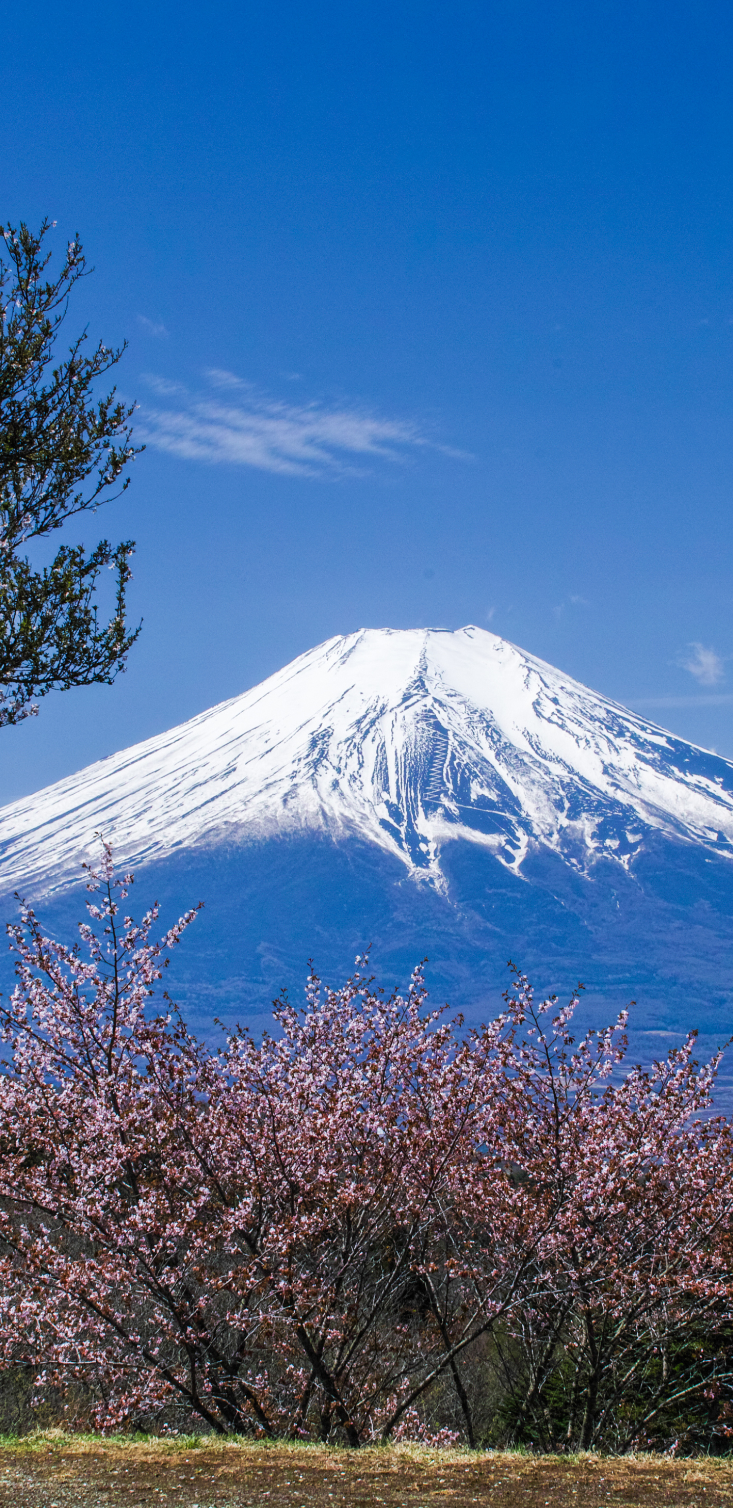 Mount Fuji Wallpapers