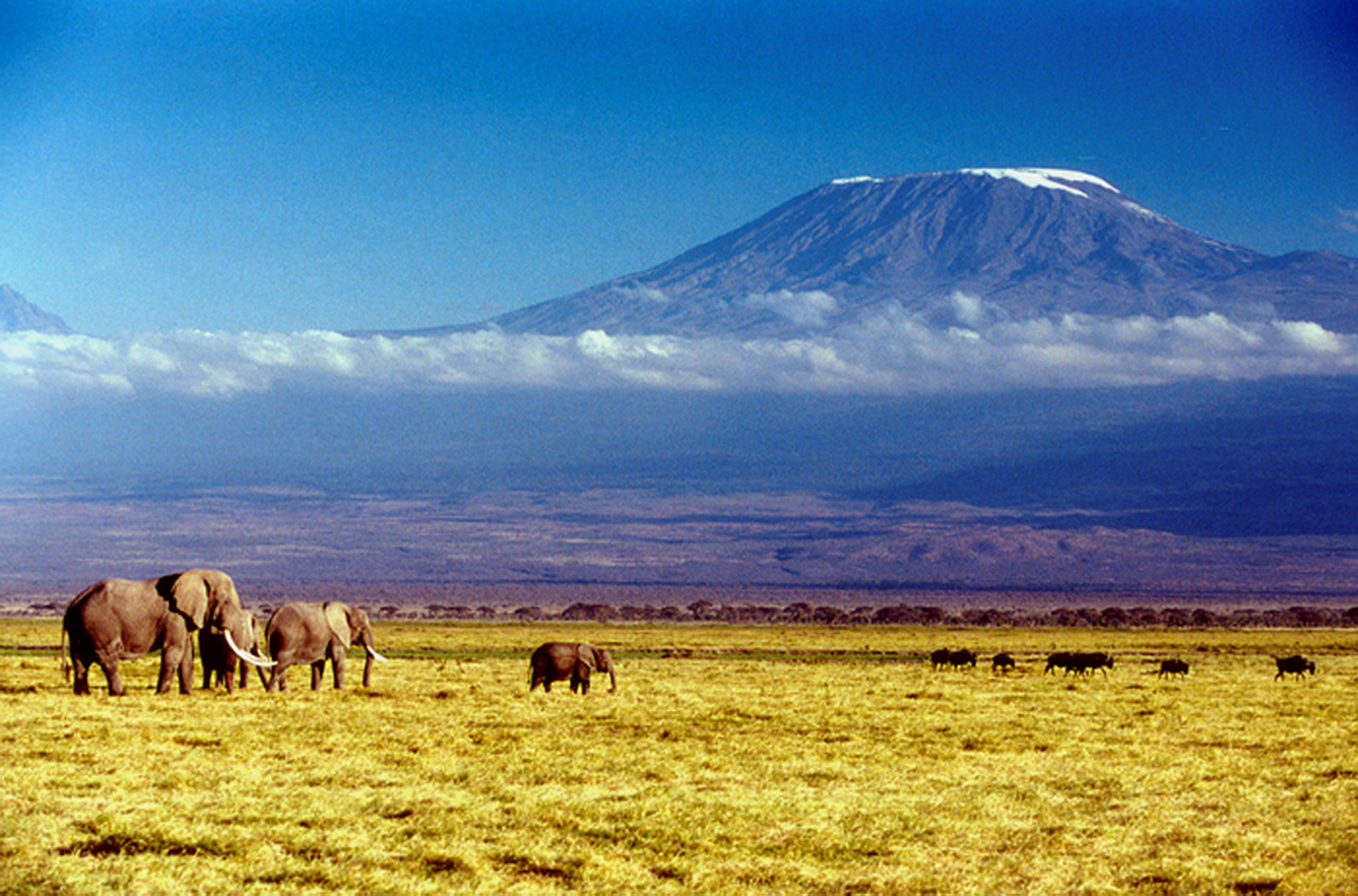 Mount Kilimanjaro Wallpapers