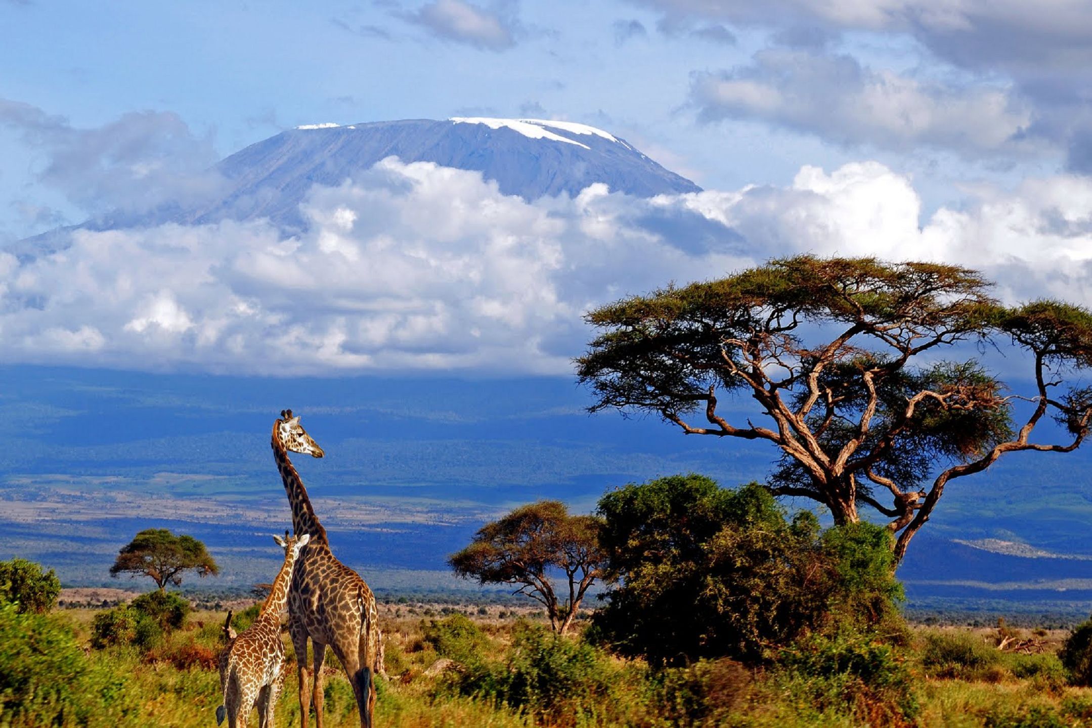 Mount Kilimanjaro Wallpapers