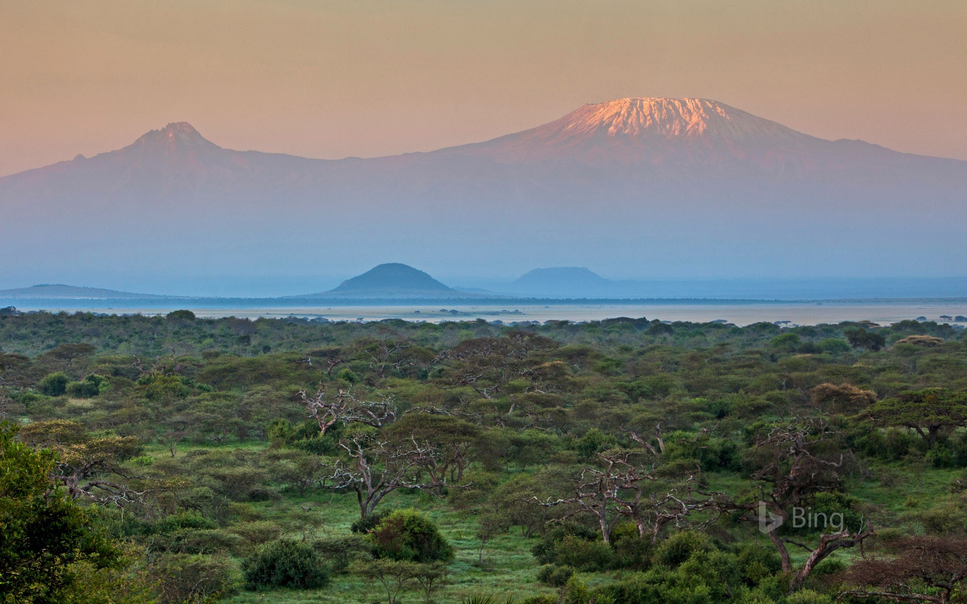 Mount Kilimanjaro Wallpapers