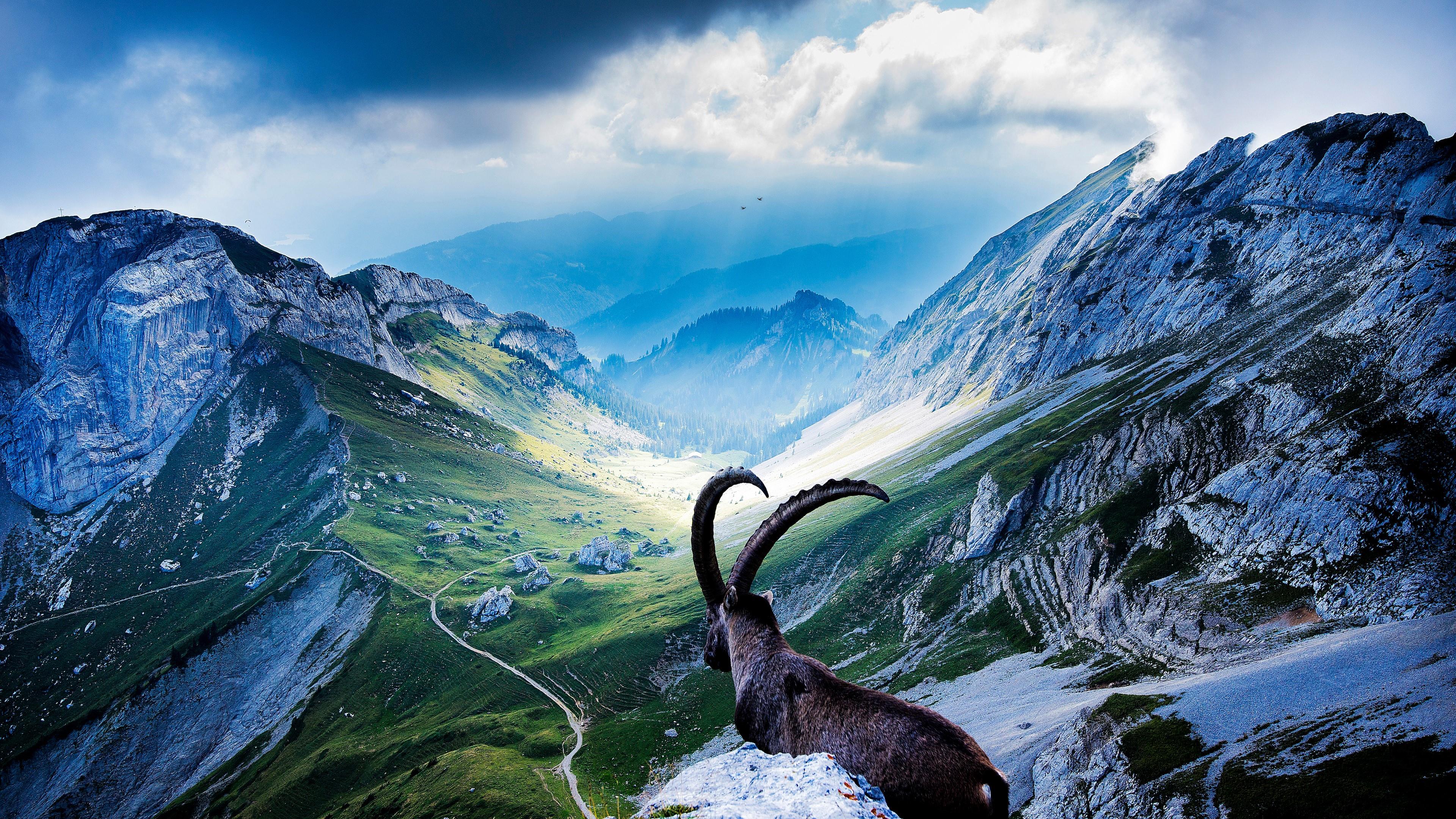 Mount Pilatus Wallpapers