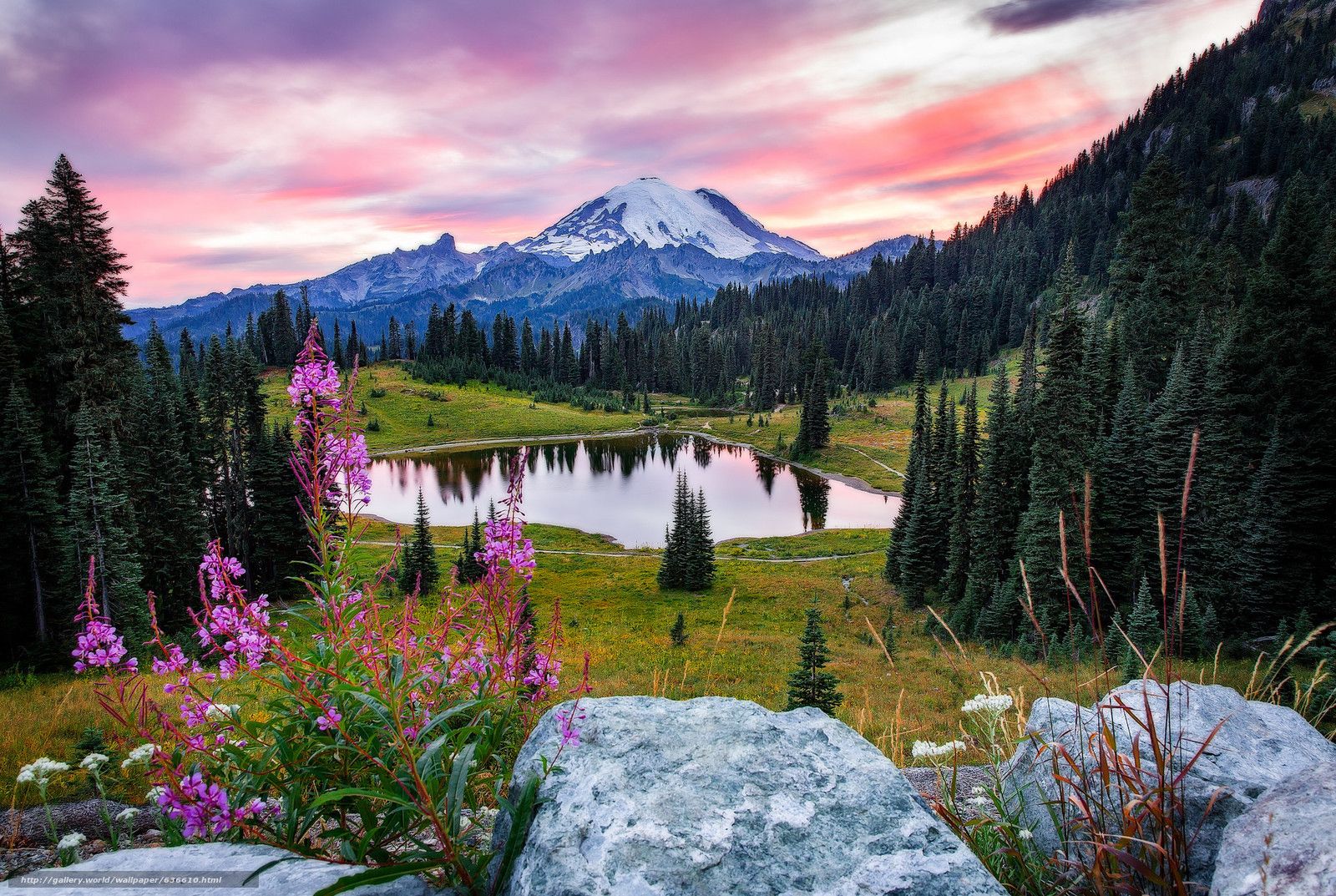 Mount Rainier National Park Wallpapers