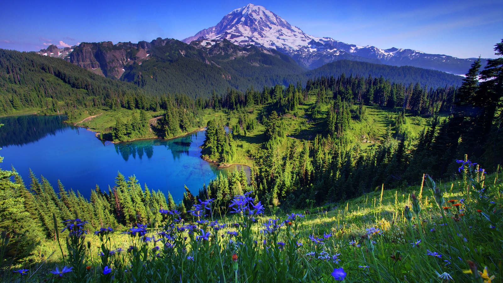 Mount Rainier National Park Wallpapers