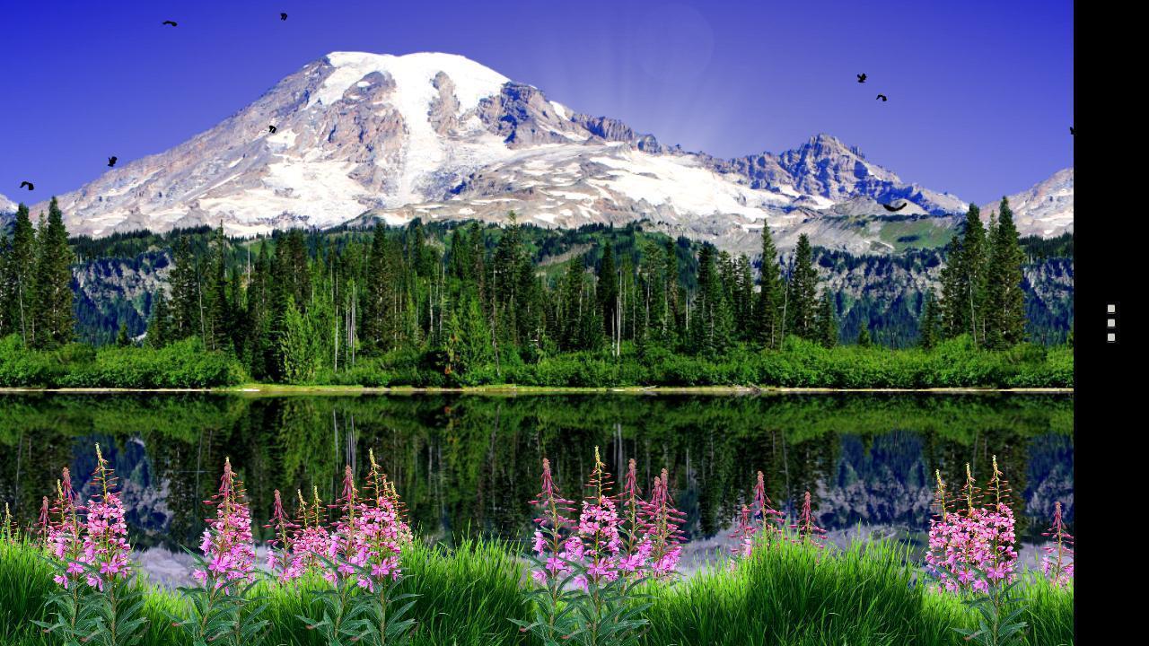 Mount Rainier National Park Wallpapers