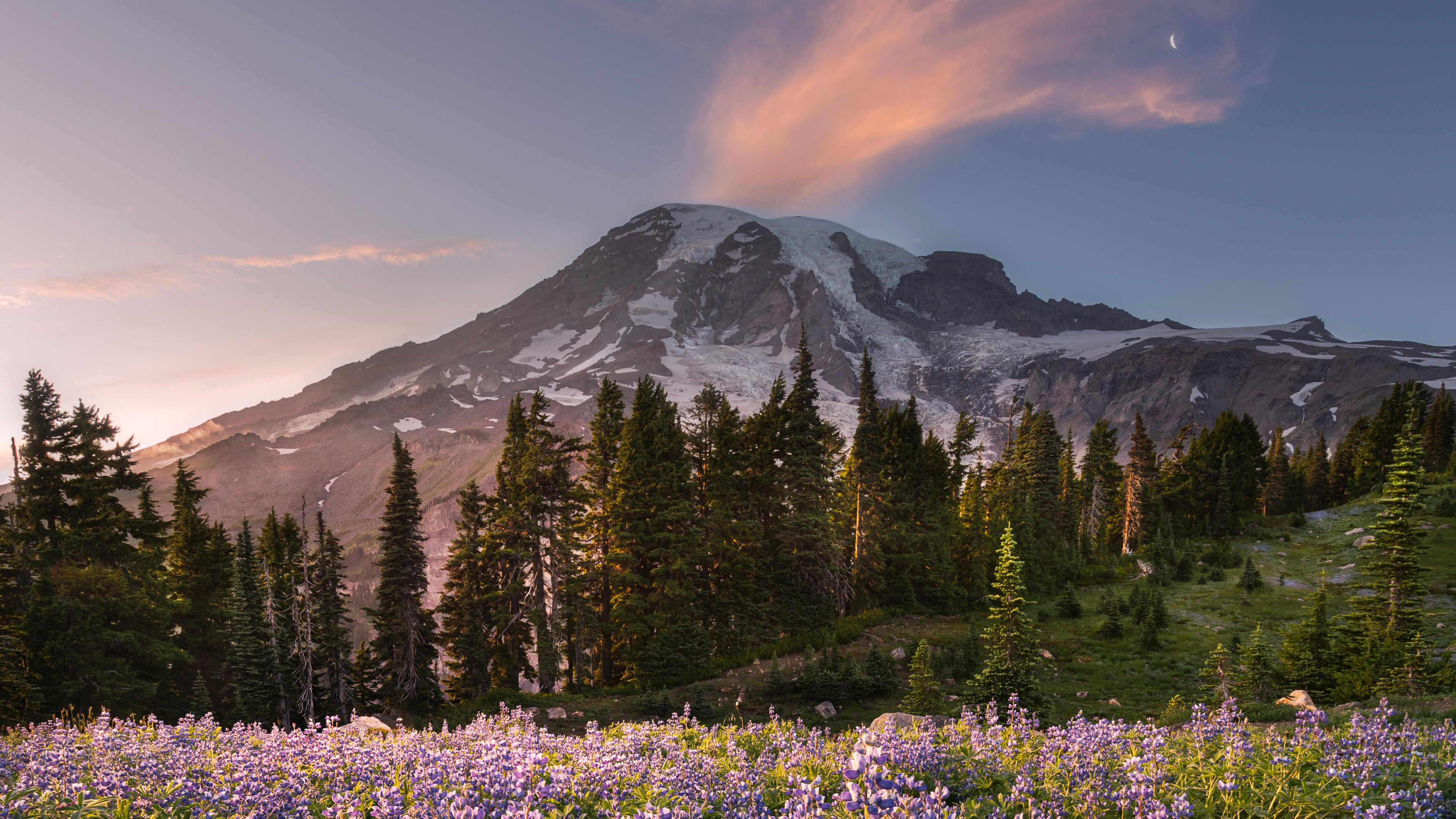 Mount Rainier National Park Wallpapers