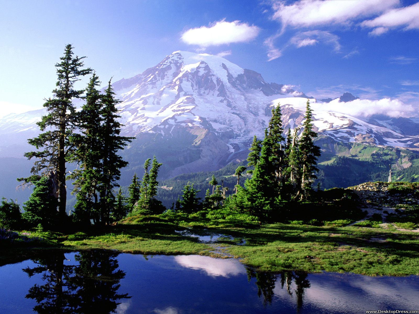 Mount Rainier National Park Wallpapers