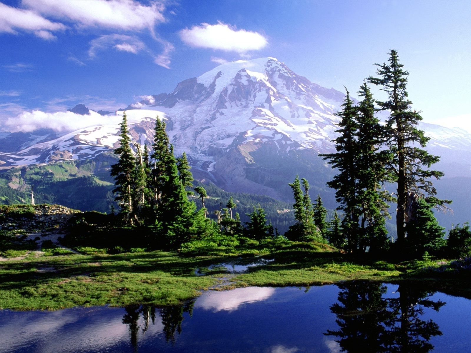 Mount Rainier National Park Wallpapers