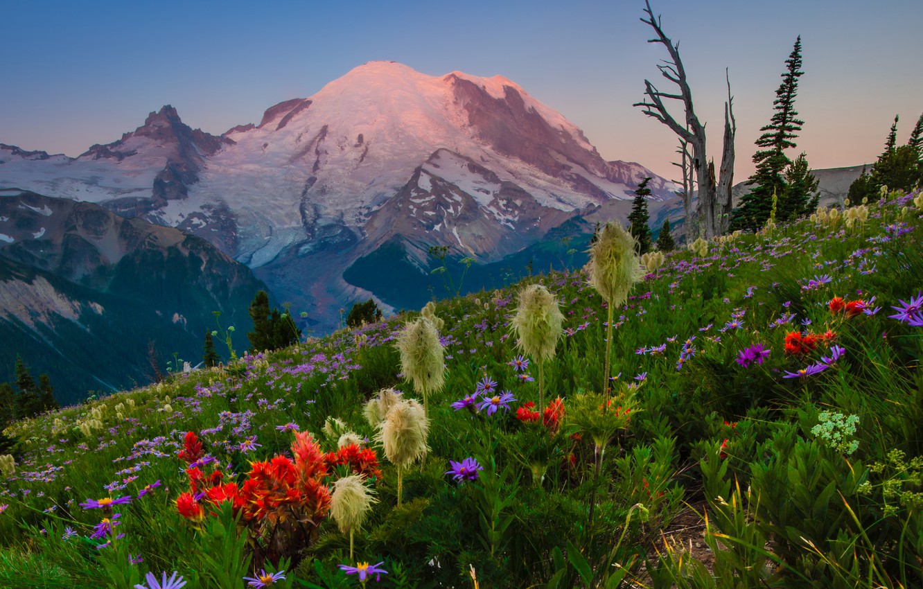 Mount Rainier National Park Wallpapers