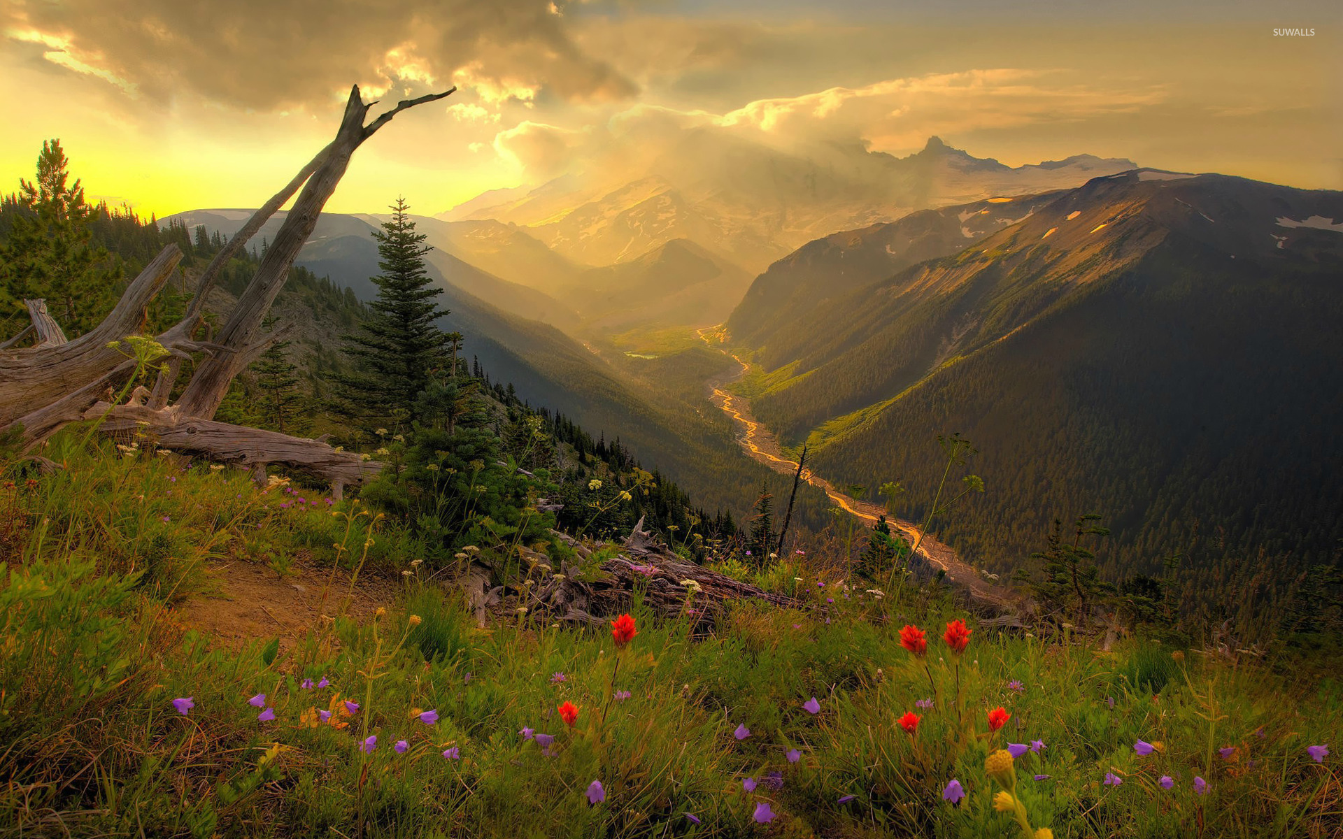 Mount Rainier National Park Wallpapers