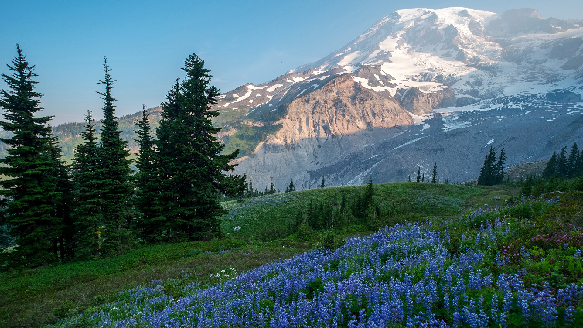 Mount Rainier National Park Wallpapers