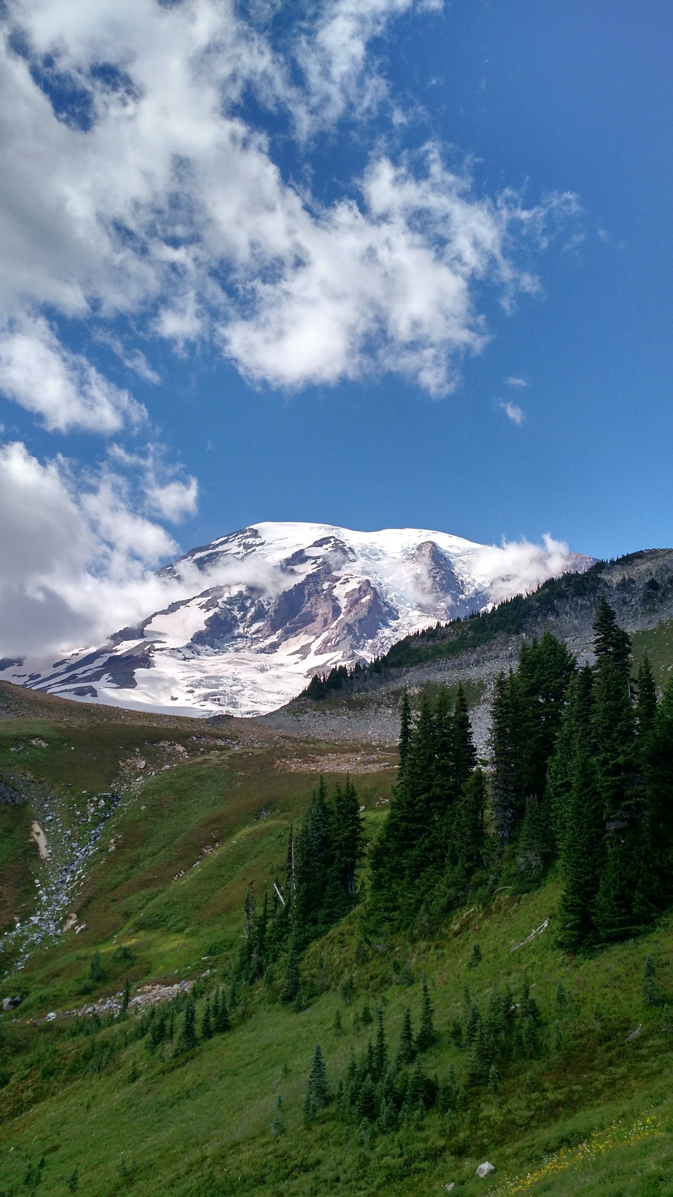 Mount Rainier National Park Wallpapers